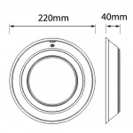 FM252 LED swimming pool light